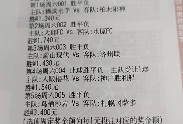 文化 第541页