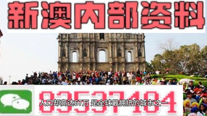一肖一码一必中一肖,揭秘彩票背后的秘密，一肖一码一必中一肖的神秘面纱