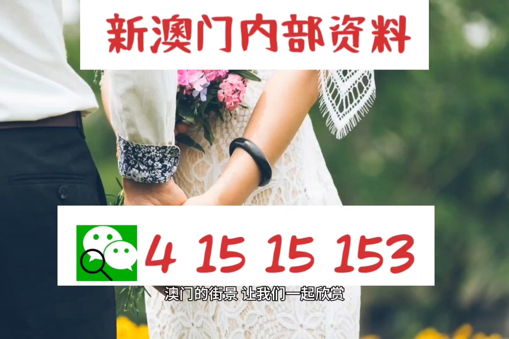 新澳门开奖结果 开奖结果,新澳门开奖结果——开奖结果的魅力与探索