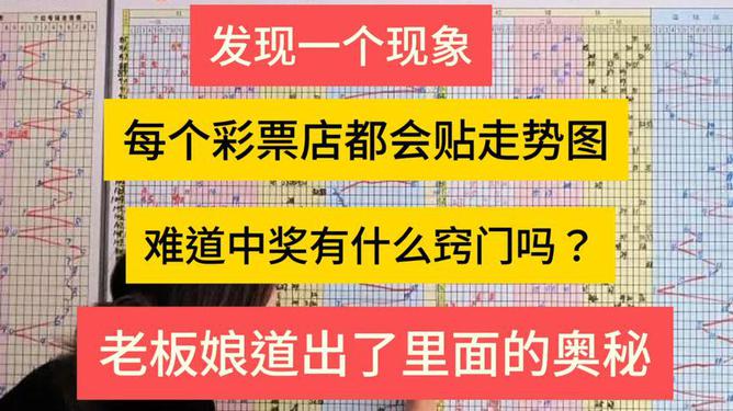 管家婆一码一肖必开,管家婆一码一肖必开，揭秘彩票背后的秘密与策略探讨