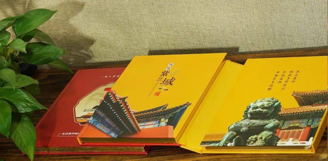 红姐统一图库大全资料,红姐统一图库大全资料详解