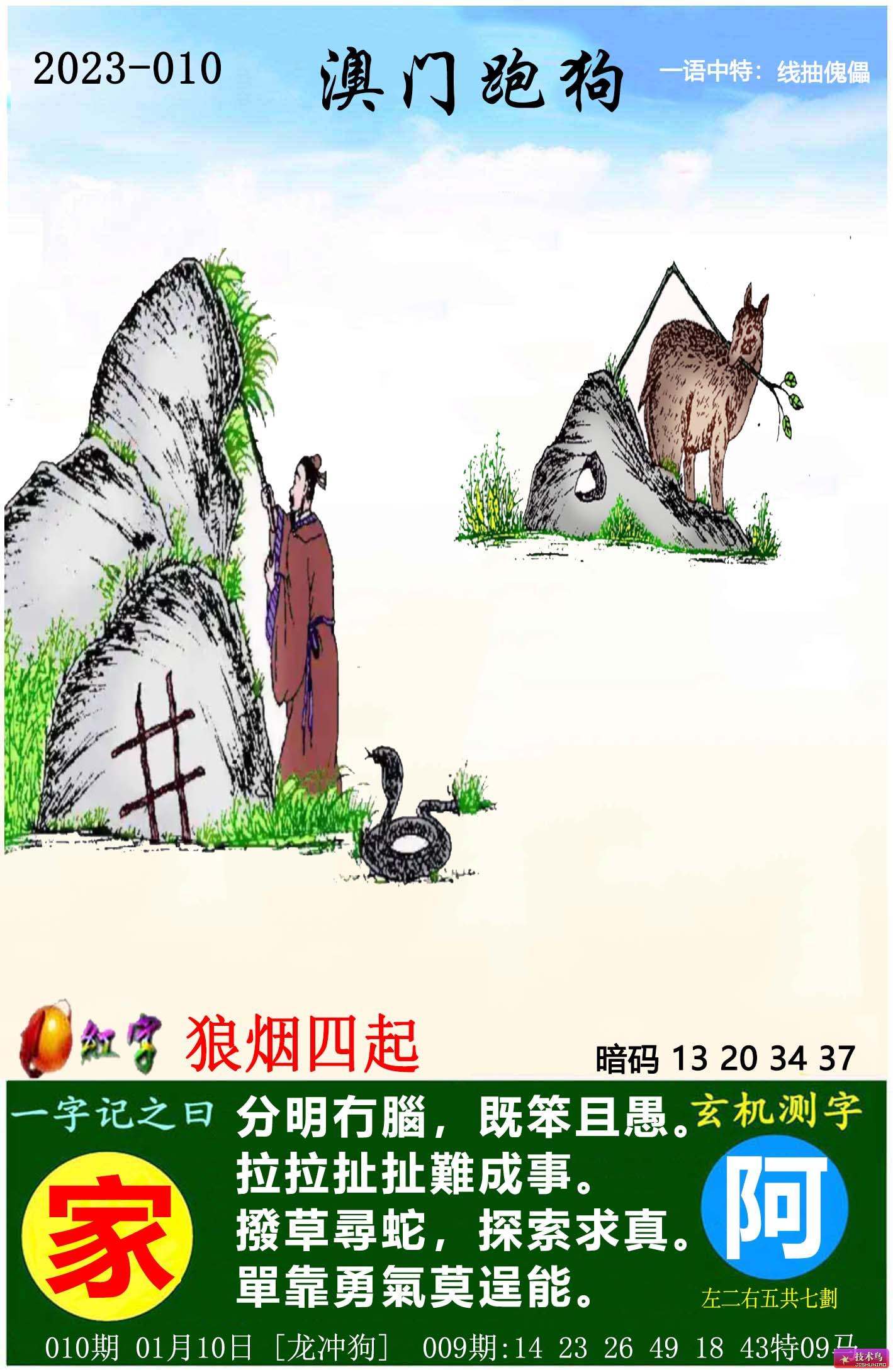2025澳门跑狗图正版高清图片大全,澳门跑狗图正版高清图片大全——探索2025年的新篇章
