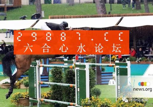 新澳门二四六天天彩,新澳门二四六天天彩，探索与体验