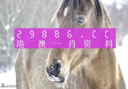 澳门一肖一码100%免费公开,澳门一肖一码，揭秘免费公开的奥秘与真相