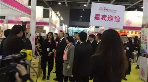 澳门最准最快的免费的,澳门最准最快的免费服务与体验